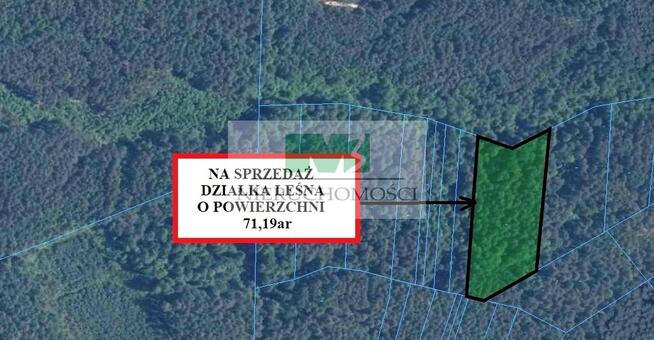 DO SPRZEDAŻY DZIAŁKA LEŚNA W GIEDLAROWEJ