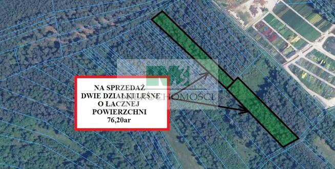 DO SPRZEDAŻY DWIE DZIAŁKI LEŚNE W GIEDLAROWEJ