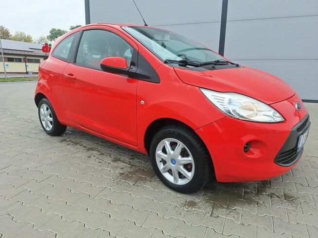 Ford KA Serwis.Bezwypadek