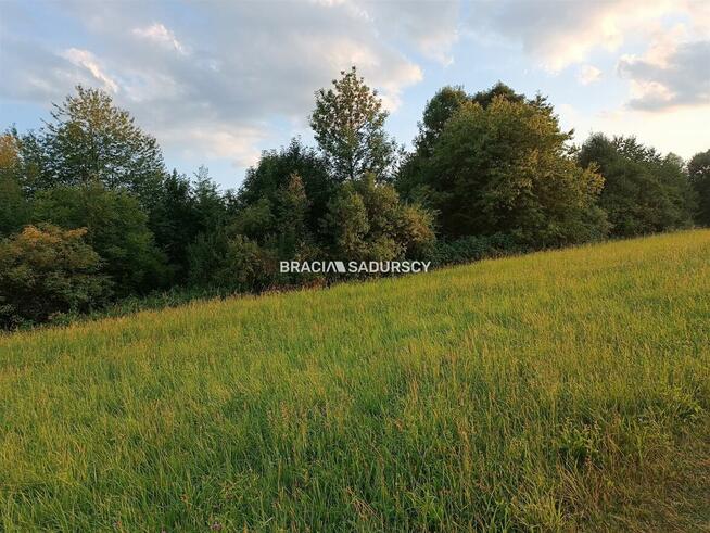 Działka rolna Łazany gm. Biskupice