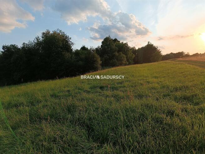 Działka rolna Łazany gm. Biskupice