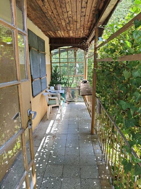 Ogród na ROD Żeromskiego - 1000 m2 - urokliwe i zaciszne