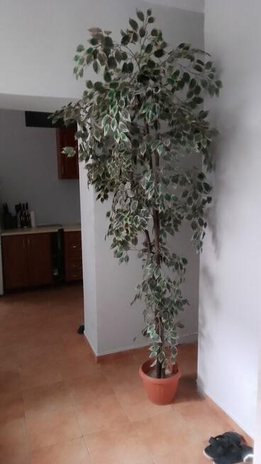 Zamienie mieszkanie mzbm