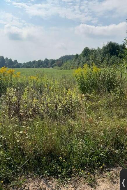 Sprzedam 2 działki w Studziankach na Podlasiu
