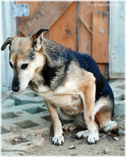 MAŃKA - wierzy, że ją pokochasz