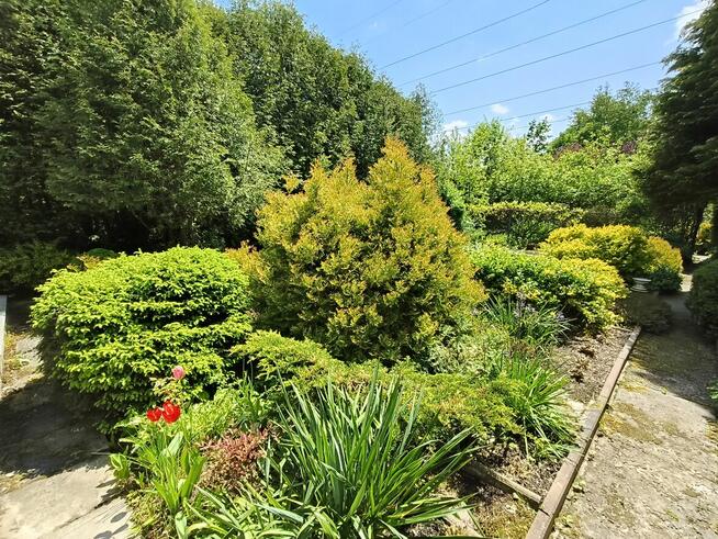 Ogród na ROD Żeromskiego - 1000 m2 - urokliwe i zaciszne