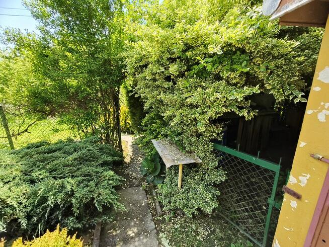 Ogród na ROD Żeromskiego - 1000 m2 - urokliwe i zaciszne