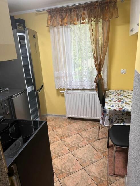 Działka rekreacyjna ROD Żuraw, Toruń. Domek całoroczny.