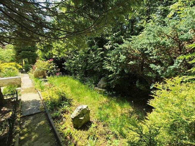 Ogród na ROD Żeromskiego - 1000 m2 - urokliwe i zaciszne