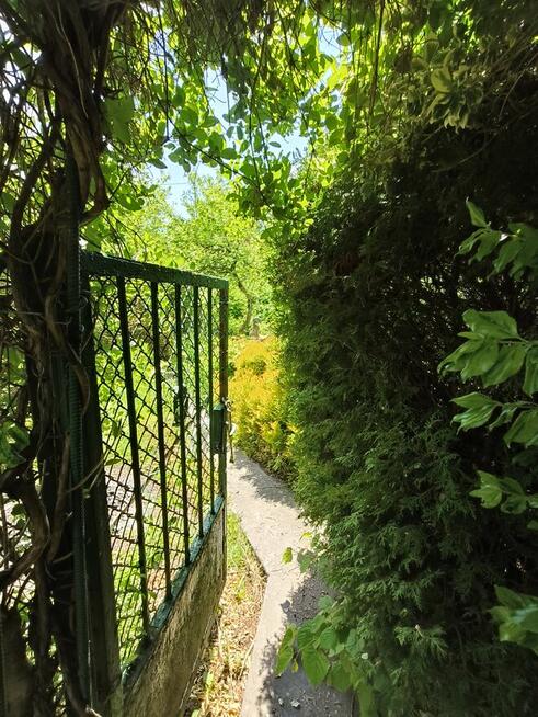 Ogród na ROD Żeromskiego - 1000 m2 - urokliwe i zaciszne