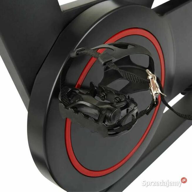 Rower spinningowy Hammer Speed RACE S