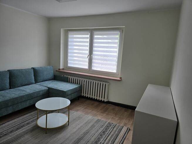 Mieszkanie do wynajęcia. I właściciel po generalnym remoncie