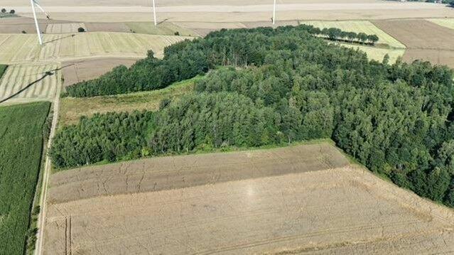 Syndyk w post VI GUp 530/21 sprzeda udział 1/2 Wojciechowo