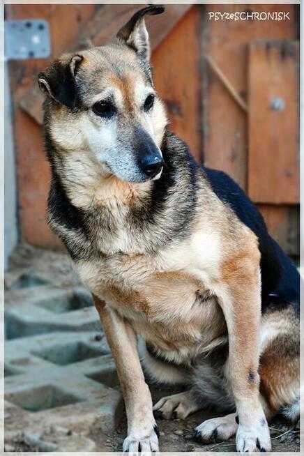 MAŃKA - wierzy, że ją pokochasz