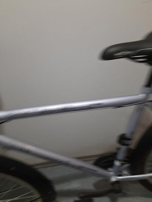 Rower rurystyczny z koszem.