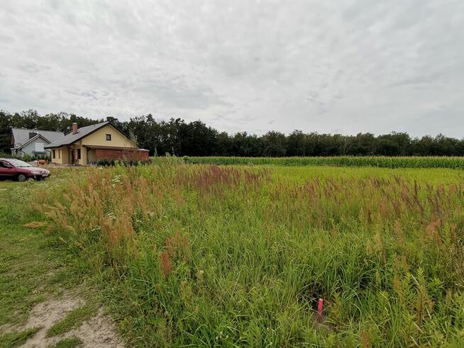SPRZEDAM DZIAŁKĘ W CICHEJ OKOLICY BLISKO WROCŁAWIA