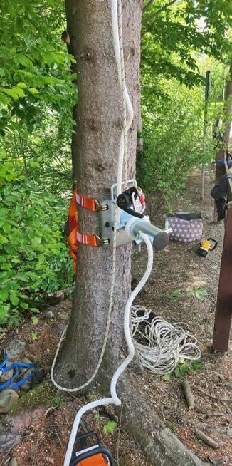 Sekcyjna wycinka drzew Mateusz Turoń Wisła