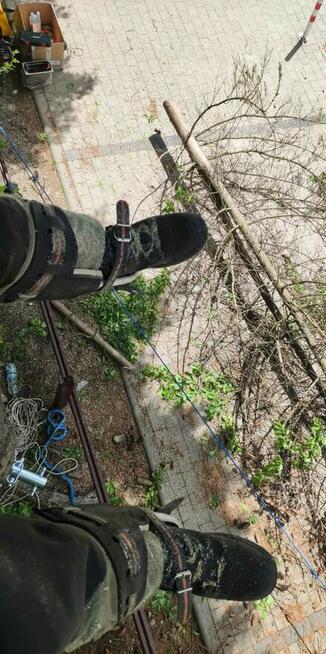 Sekcyjna wycinka drzew Mateusz Turoń Wisła