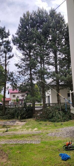 Sekcyjna wycinka drzew Mateusz Turoń Wisła