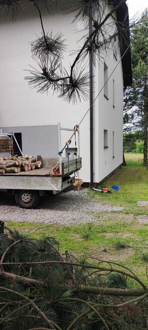 Sekcyjna wycinka drzew Mateusz Turoń Wisła