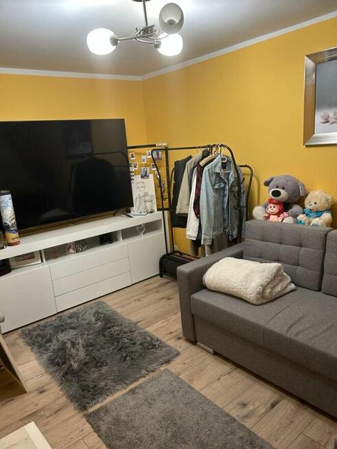 Działka rekreacyjna ROD Żuraw, Toruń. Domek całoroczny.