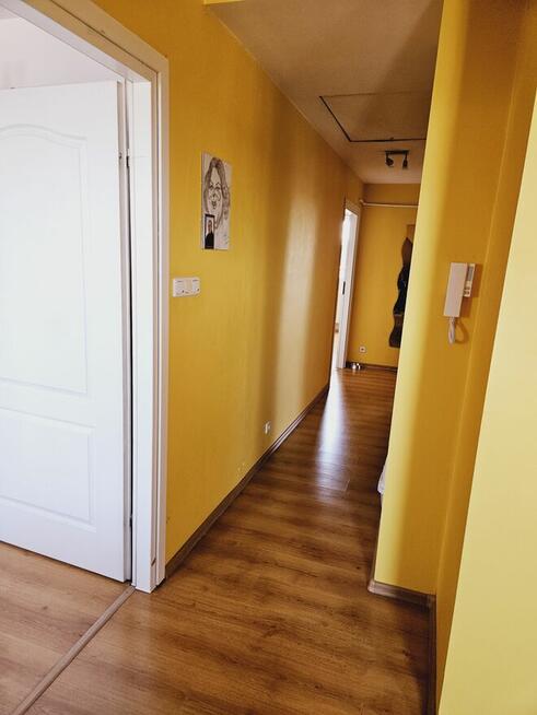 Mieszkanie inwestycyjne w bardzo dobrej lokalizacji.