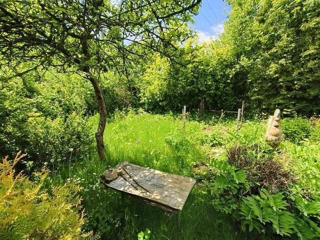 Ogród na ROD Żeromskiego - 1000 m2 - urokliwe i zaciszne