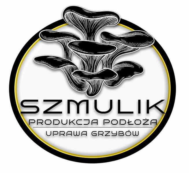 Poszukiwany pracownik