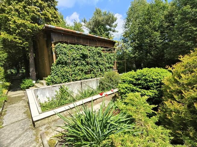 Ogród na ROD Żeromskiego - 1000 m2 - urokliwe i zaciszne