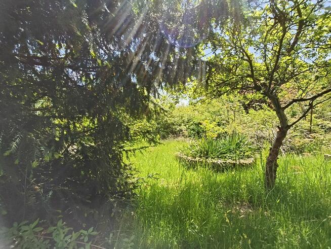 Ogród na ROD Żeromskiego - 1000 m2 - urokliwe i zaciszne