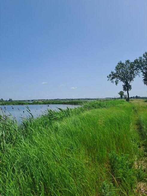 Działka BudowlanaStrożyska gmina Nowy Korczyn Busko Zdrój