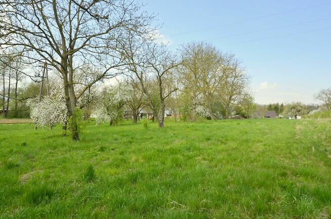 Sprzedam dom z dużą działką w Czelatycach