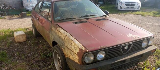 Sprzedam alfę pasjonat