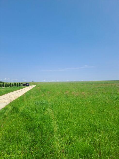 Działka BudowlanaStrożyska gmina Nowy Korczyn Busko Zdrój