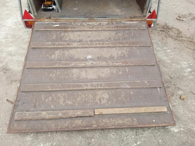 Przyczepa dla koń DMC 1300kg.