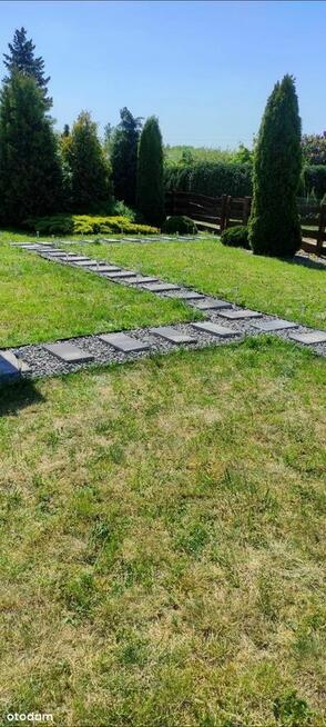 Działka 460m2 ROD 700-lecia Buk k. Poznania