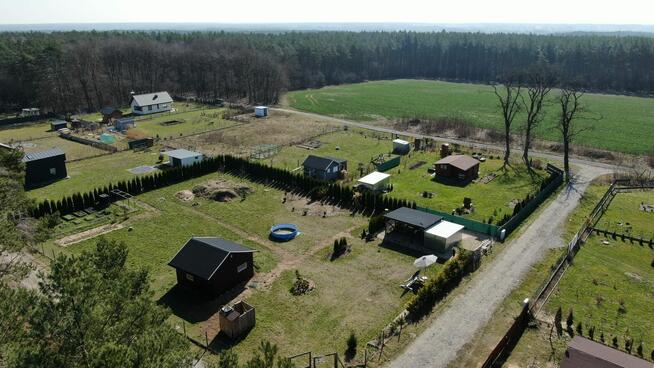 Piękna działka w środku lasu