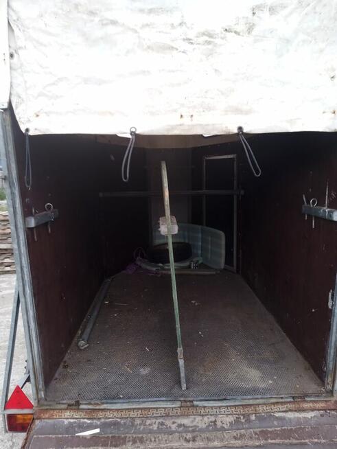 Przyczepa dla koń DMC 1300kg.