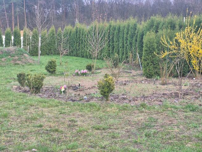 Piękna działka w środku lasu