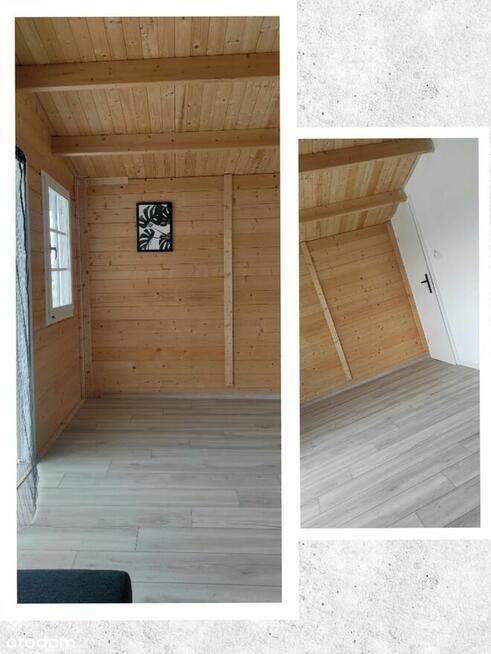 Działka 460m2 ROD 700-lecia Buk k. Poznania