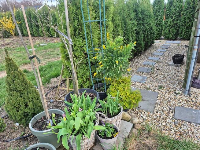 Piękna działka w środku lasu