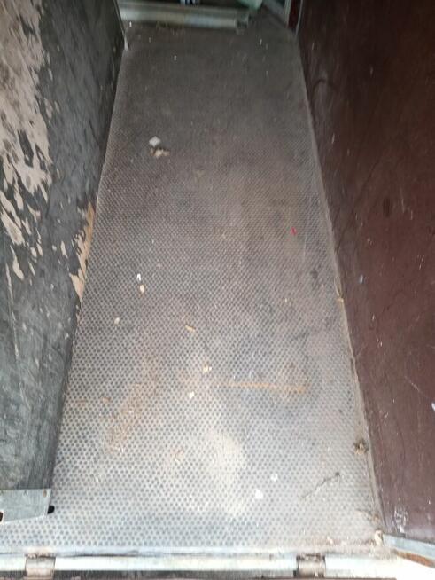 Przyczepa dla koń DMC 1300kg.