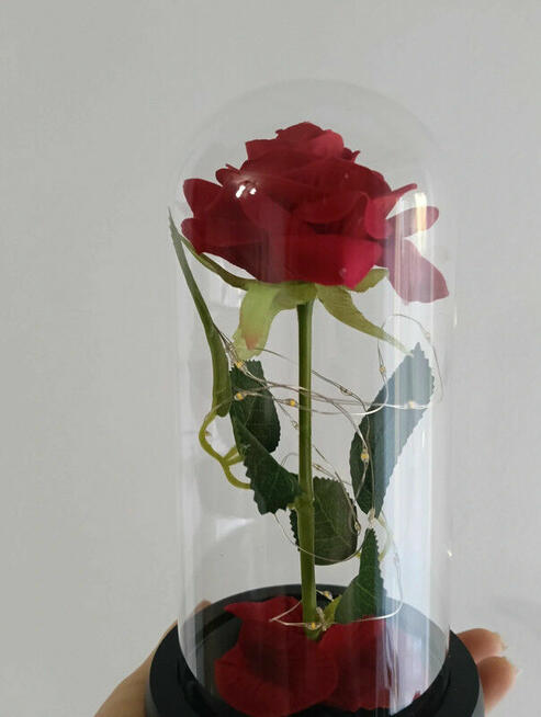 Róża w szkle- świecąca