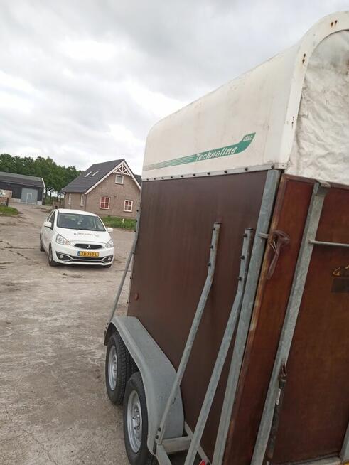 Przyczepa dla koń DMC 1300kg.