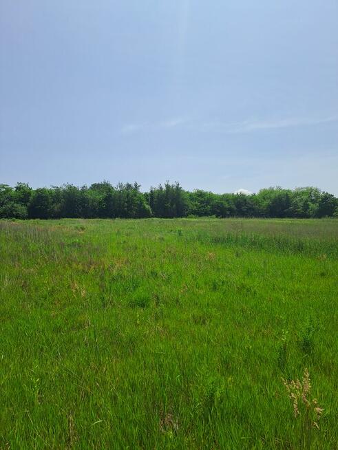 Działka BudowlanaStrożyska gmina Nowy Korczyn Busko Zdrój