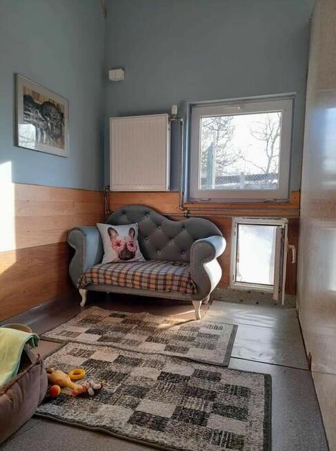 Hotel dla małego psa PSANATORIUM