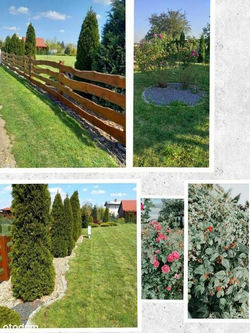 Działka 460m2 ROD 700-lecia Buk k. Poznania