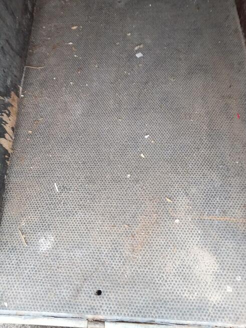 Przyczepa dla koń DMC 1300kg.