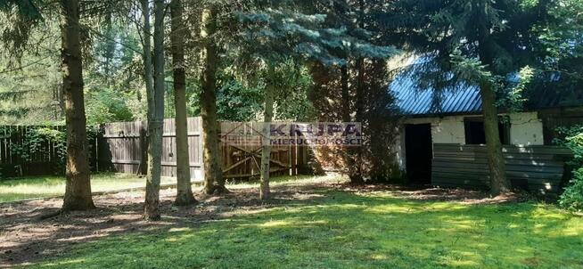 Siedlisko z domkiem, dla miłosników lasu niedaleko od W-wy,