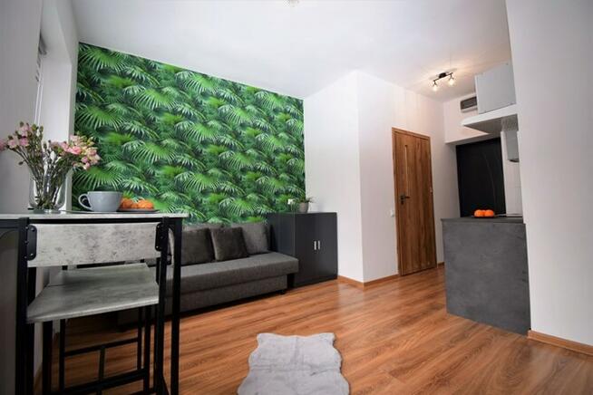 Katowicka 2-B, nowoczesne studio, pet-friendly